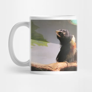 Bird photo. Mug